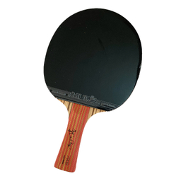 راکت پینگ پنگ موک مدل Sports دو ستاره