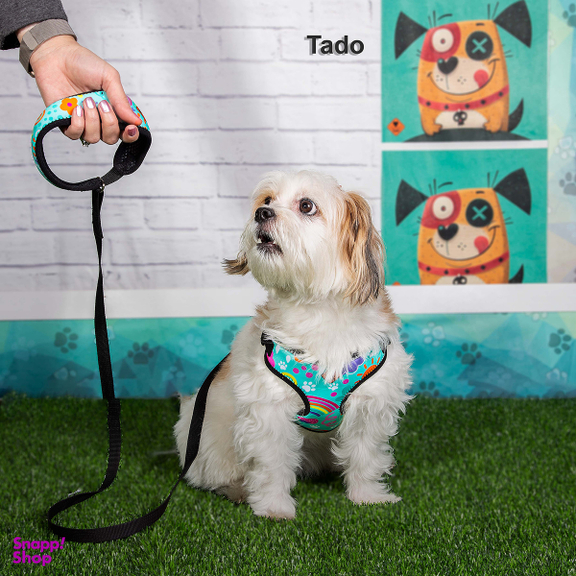 قلاده سگ تادو کد C110 سایز L