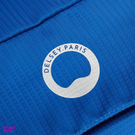 کوله پشتی ورزشی دلسی مدل NOMADE کد 3335612