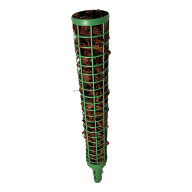 قیم گیاه مدل کوکوچیپس سایز 0.5 متر