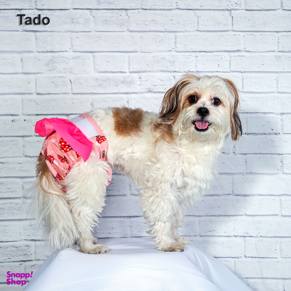 پوشک سگ تادو طرح ماده دامنی کد 1124 سایز M