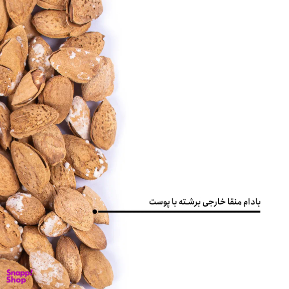 بادام منقا خارجی برشته بارجیل