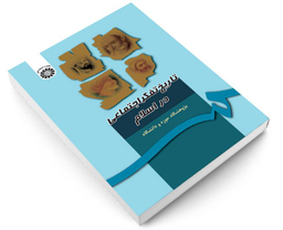 کتاب تاریخ تفکر اجتماعی در اسلام اثر جمعی از نویسندگان نشر سمت
