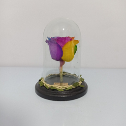 گل خشک رز جاودان طرح شیشه کد 509