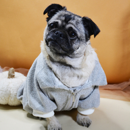 لباس سگ و گربه مدل 604 رنگ طوسی