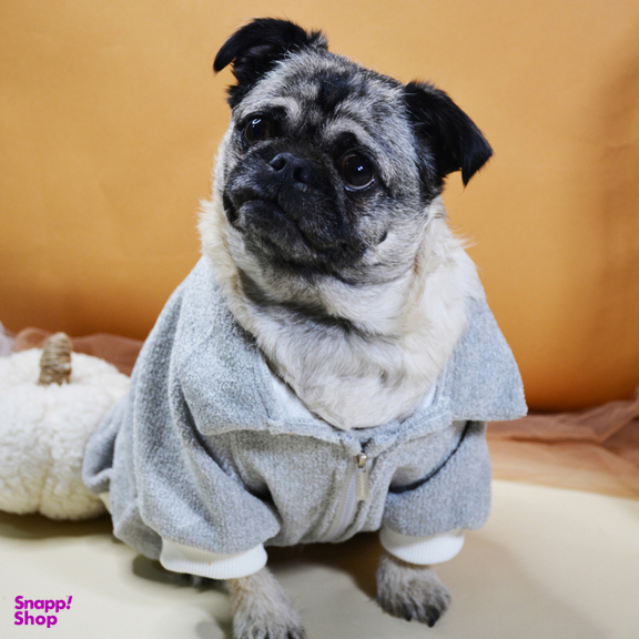 لباس سگ و گربه مدل 604 رنگ طوسی