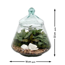 تراریوم مدل هرمی 2 سایز کوچک