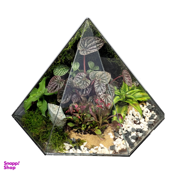 تراریوم ترارتوس مدل 04