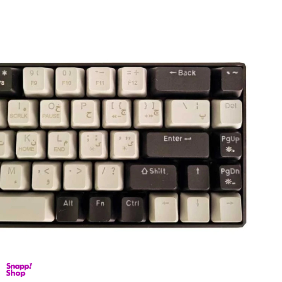 کيبورد باسيم مخصوص بازی آئولا مدل AULA Wind F3268