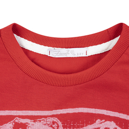 تیشرت آستین کوتاه پسرانه فیورلا مدل t-rex کد 35059