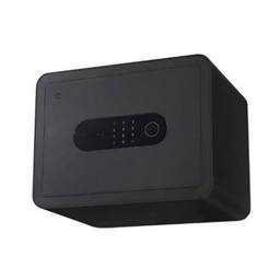 گاو صندوق هوشمند میجیا مدل BGX-5/X1-303