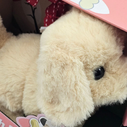 عروسک ناب سل مدل سگ پولیشی قلاده دار موزیکال جعبه دار Polish collared dog NAAB002 ارتفاع 15 سانتی متر