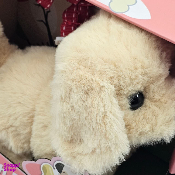 عروسک ناب سل مدل سگ پولیشی قلاده دار موزیکال جعبه دار Polish collared dog NAAB002 ارتفاع 15 سانتی متر