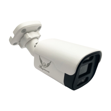 دوربین مداربسته تحت شبکه رایمون مدل 5 مگاپیکسل 8235 Surveillance Camera