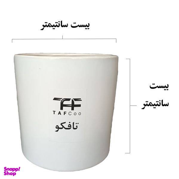 گل طبیعی سانسوریا ابلق تافکو کد 2022