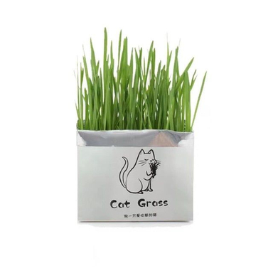 علف گربه Catgrass مدل ca200