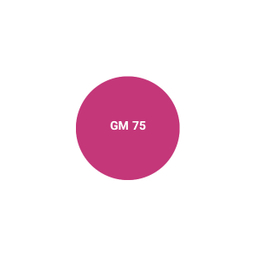 رژ لب مایع اشتون کد GM 75 رنگ صورتی بنفش