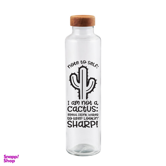 بطری میس گلس مدل ایوان کاکتوس کد DH93