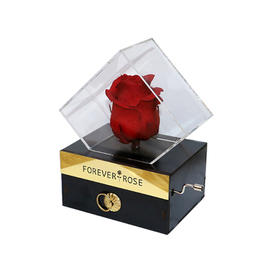 جعبه گل رز جاودان مدل موزیکال کشودار MeloRose