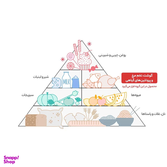 رب گوجه فرنگی پیک وزن 800 گرم