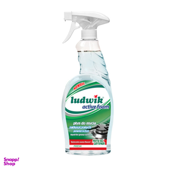 اسپری گاز پاک کن لودویک مدل Active Foam حجم 750 میلی لیتر