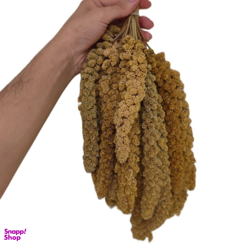 غذای پرنده مدل ارزن خوشه ای درشت کد 0300 وزن 300 گرم