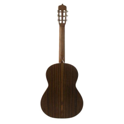 گیتار پارسی مدل M6