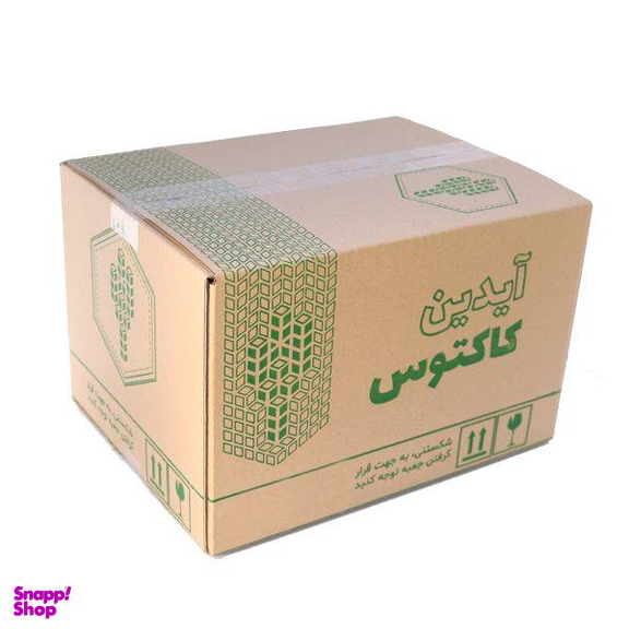گیاه طبیعی کاکتوس و ساکولنت آیدین کاکتوس کد CB-004 بسته 12 عددی