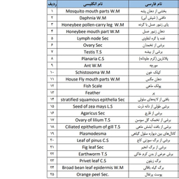نمونه‌ آماده میکروسکوپ مدل Bresser مجموعه 50 عددی