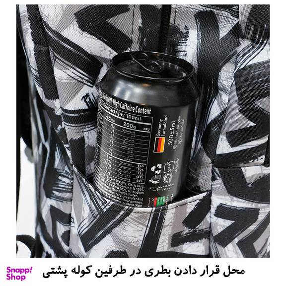 کوله پشتی پسرانه توریث مدل WS-417