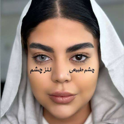 لنز فصلی بیوتی شماره B:202 رنگ طوسی