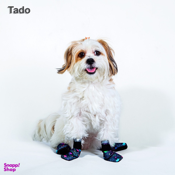 پاپوش سگ تادو کد PT104 سایز 4 بسته 4 عددی