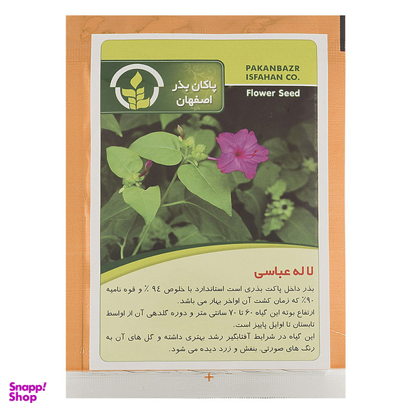 بذر گل لاله عباسی پاکان بذر
