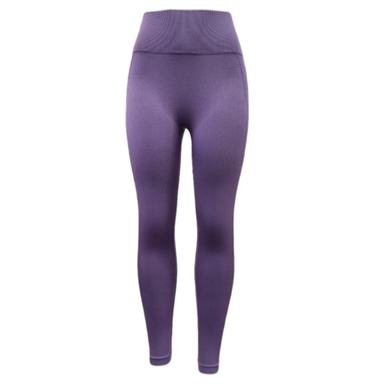 لگینگ زنانه کد PR21P رنگ بنفش