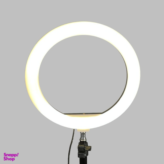 رینگ لایت پی نت مدل Filling Light 10-Inch