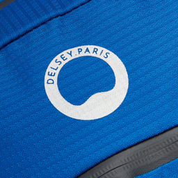 کوله پشتی دلسی مدل NOMADE کد 3335610