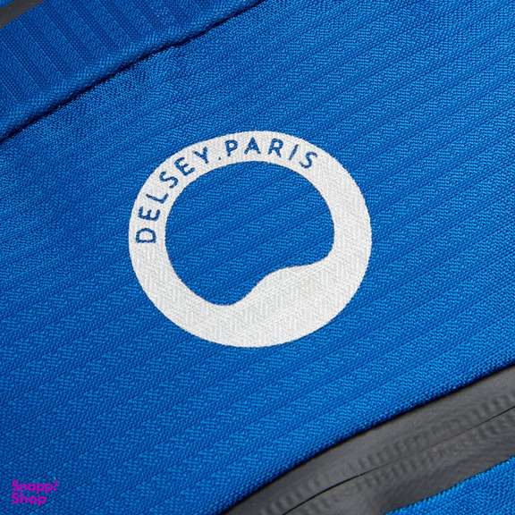 کوله پشتی دلسی مدل NOMADE کد 3335610