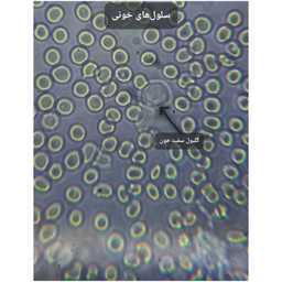میکروسکوپ کامار مدل زیستی 1024X به همراه کیف حمل
