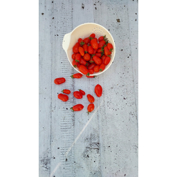 تفاله گیر آریاسام کد 301