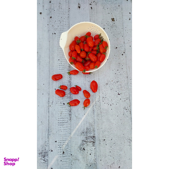 تفاله گیر آریاسام کد 301