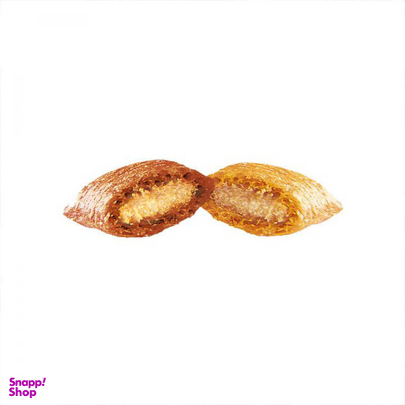 تشویقی گربه دریمز مدل Salmon وزن 60 گرم