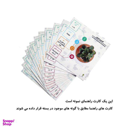گیاه طبیعی کاکتوس و ساکولنت آیدین کاکتوس کد CB-004 بسته 12 عددی