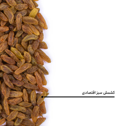 کشمش سبز اقتصادی بارجیل