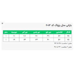 بارانی زنانه السانا مدل پژواک کد 201309