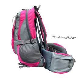 کوله پشتی کوهنوردی 30 لیتری دیوتر مدل APP-115