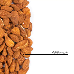 مغز بادام ارگانیک بارجیل