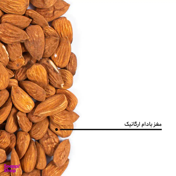 مغز بادام ارگانیک بارجیل