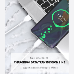 کابل تبدیل USB به USB-C  پاواریال مدل PA-DC123 طول 1 متر