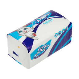 دستمال کاغذی 250 برگ بی تا کد 45258