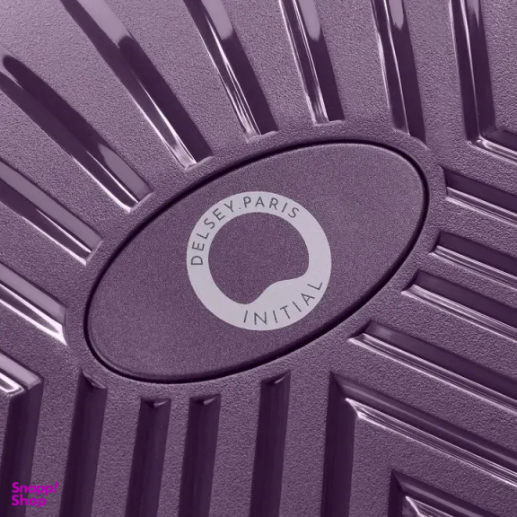 چمدان سایز متوسط دلسی اوردنر مدل DELSEY PARIS - ORDENER MEDIUM